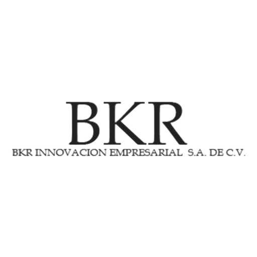 logo bkr
